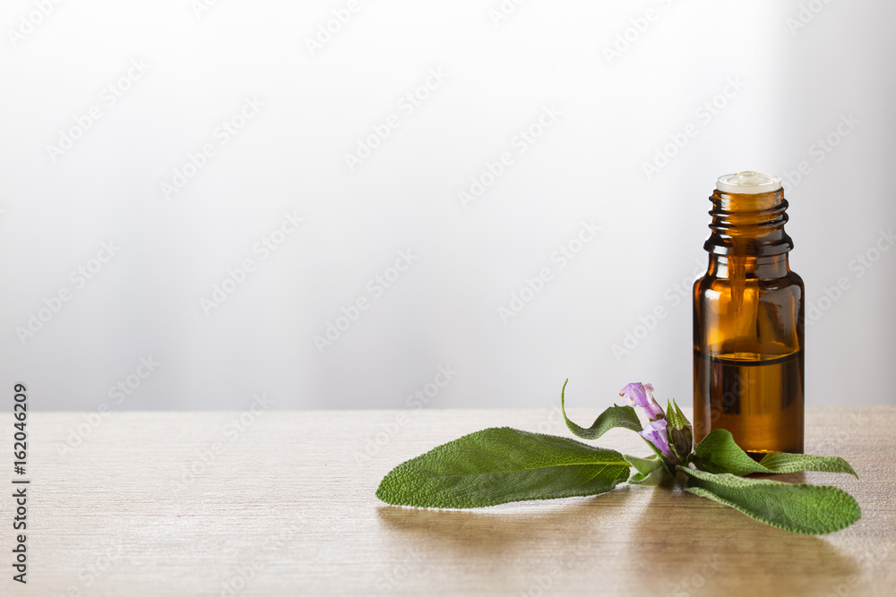 Salvia essential oil and fresh salvia leaves and blossom Salvia essential oil and fresh salvia leaves and blossom