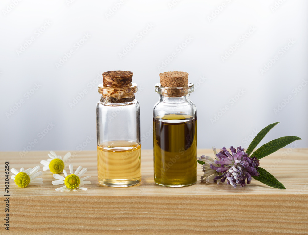 Camomile and clover essential oils and fresh camomile and clover blossom Camomile and clover essential oils and fresh camomile and clover blossom
