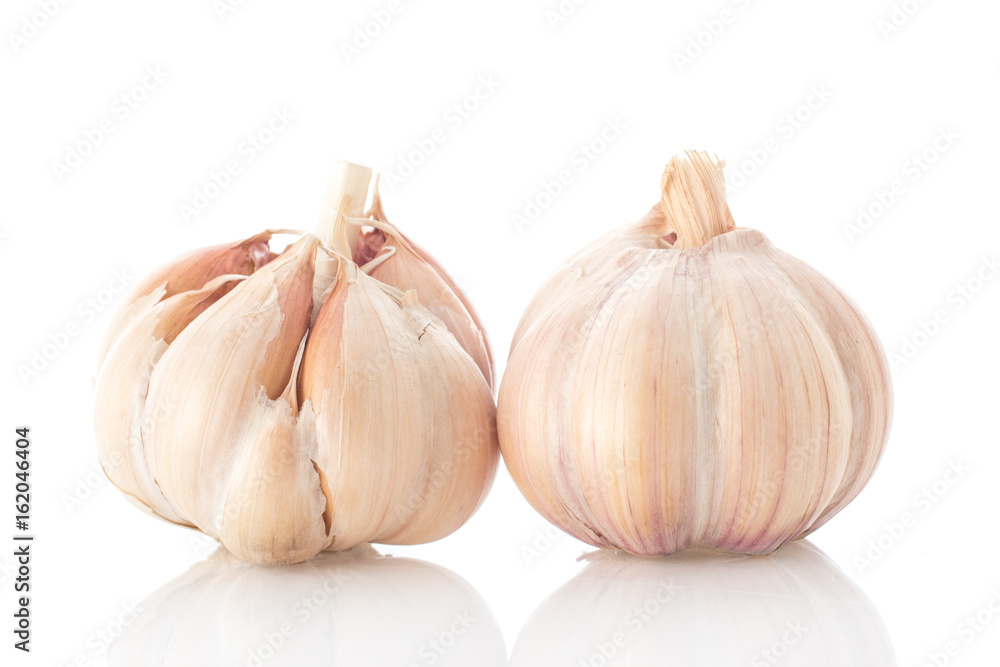 Garlic bulb isolated on white background Garlic bulb isolated on white background
