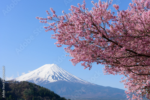 山梨　富士山と桜 © Scirocco340