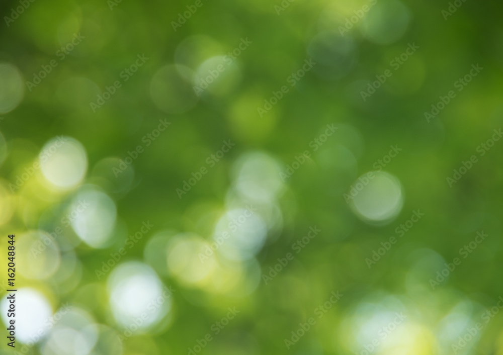 Natural green blurred background. Natural green blurred background.