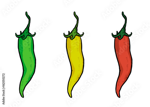 three chili / cartoon vector and illustration, hand drawn style, isolated on white background.
