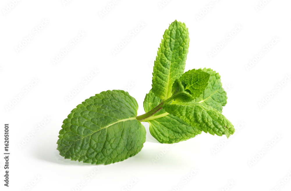Fresh raw mint leaves isolated on white background Fresh raw mint leaves isolated on white background
