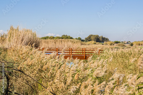 Parco del Molentargius - Saline, Cagliari, Quartu, Sardegna - Ponte di legno