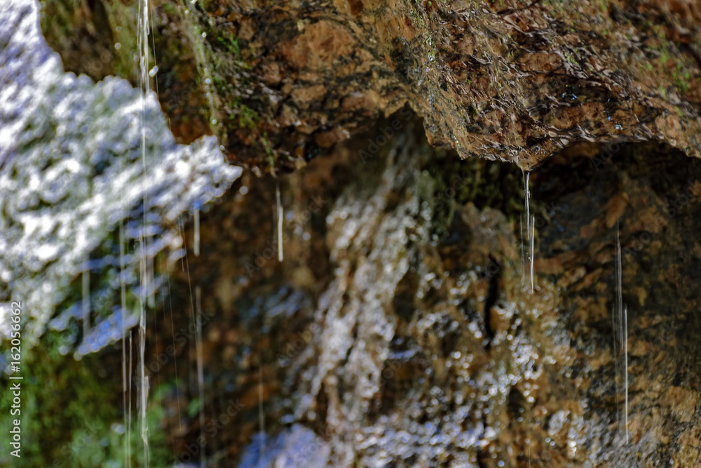 Obraz premium Rainwater dripping on the rocks of Rio de Janeiro rainforest