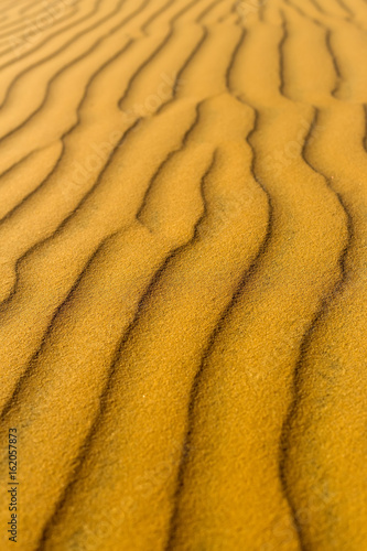 Yellow sandy wavy dunes texture