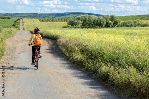 Rear view woman cyclist ride on bike at the dirt road among fields with green grain