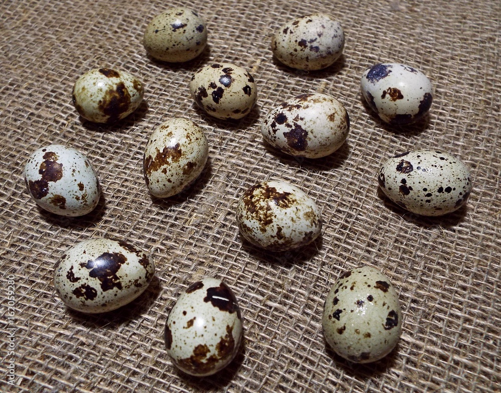 quail eggs quail eggs