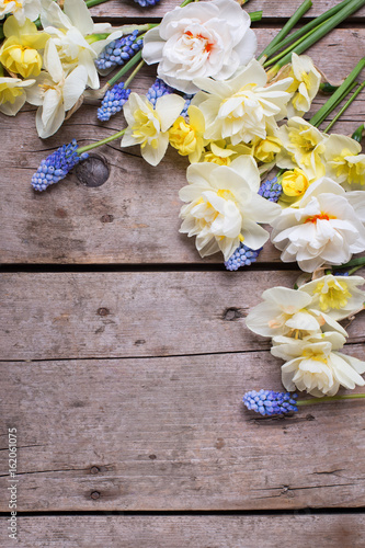 Border from colorful spring narcissus, muscaries flowers on rustic wooden background.