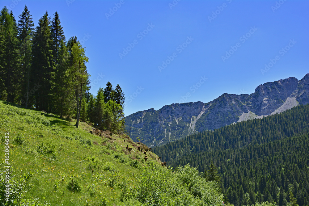 The mid-June rural landscape of the Carnic Alps near Paularo, Friuli Venezie Giulia, north east Italy.
