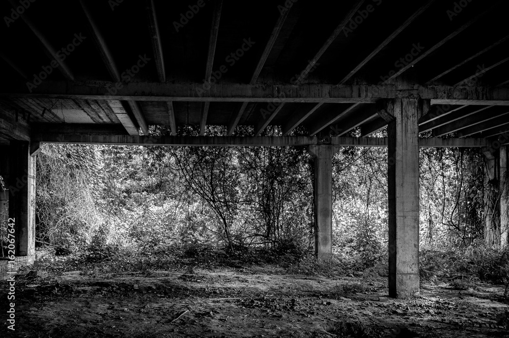 Abandoned building interior. Abandoned place. Black and white. Dark image.