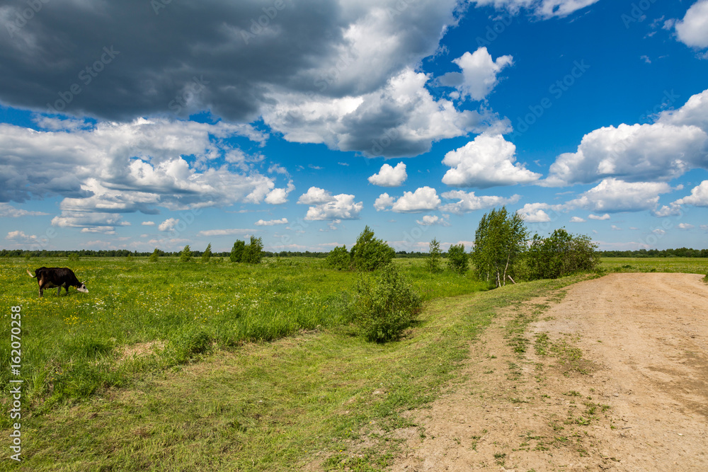 Fototapeta premium Kind of a traditional rural landscape in Russia on a summer day