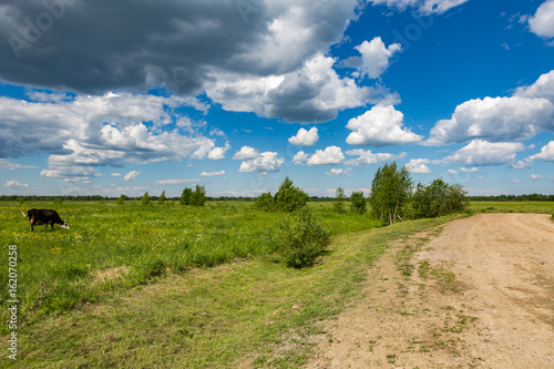 Kind of a traditional rural landscape in Russia on a summer day        