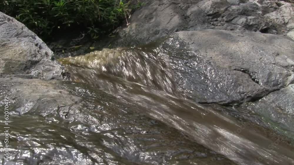 Small river in the forest