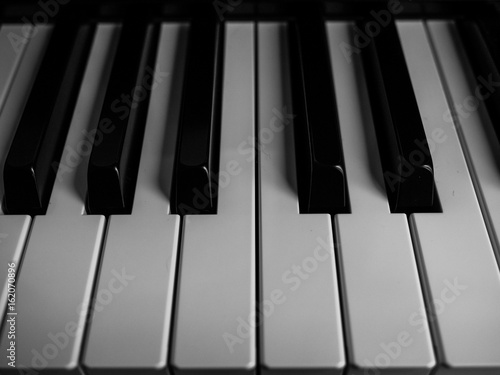 Ebony and Ivory Piano Keys