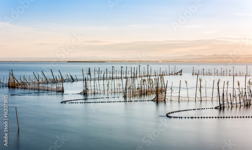 La Albufera de Valencia