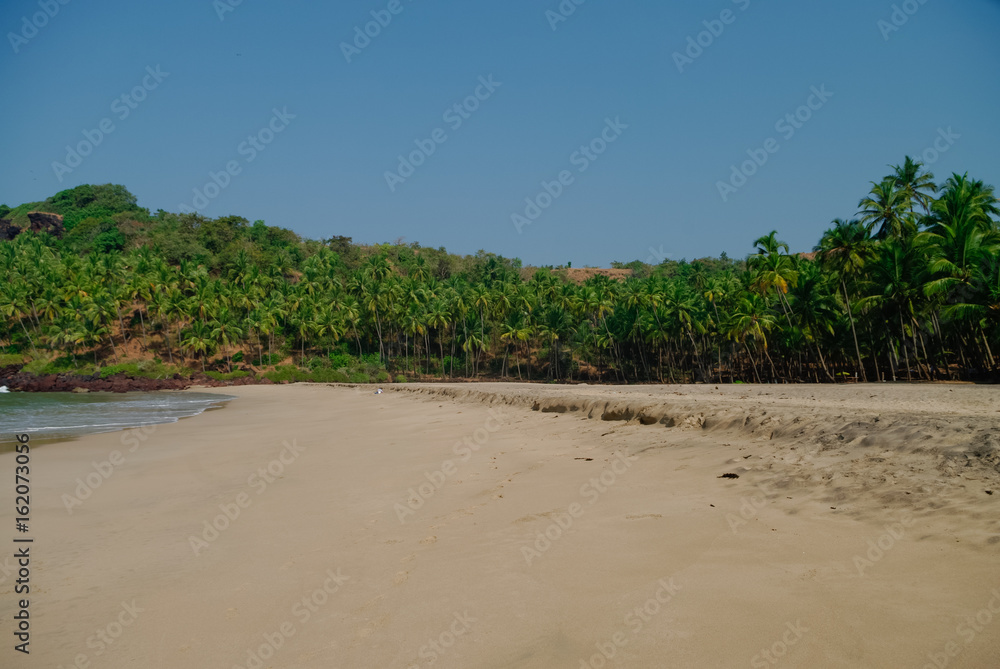 Hidden sand  beach with palms near Agonda beach, Goa state, India. No people