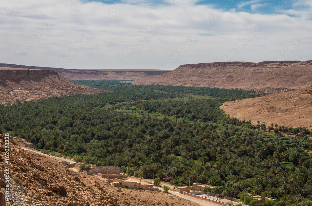 Huge palm grove in Ziz river valley, Morocco. Aerial view