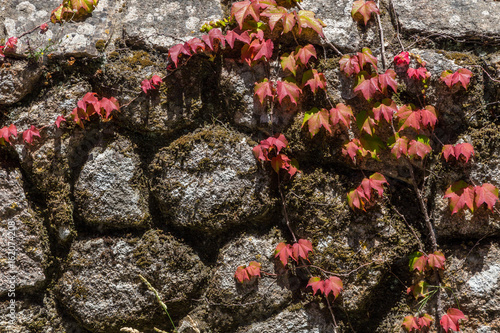 closeup old wall from rocks with mpss