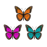 Three butterflies set.