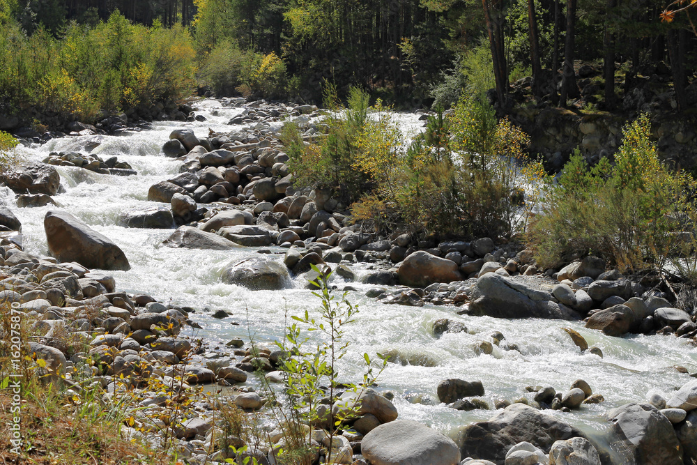 Wild mountain river flowing in the canyon Wild mountain river flowing in the canyon