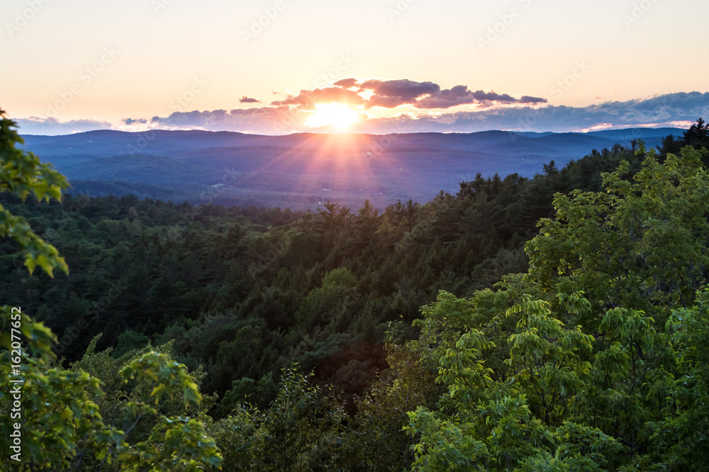 Fototapeta premium Zachód słońca nad zielonym lasem