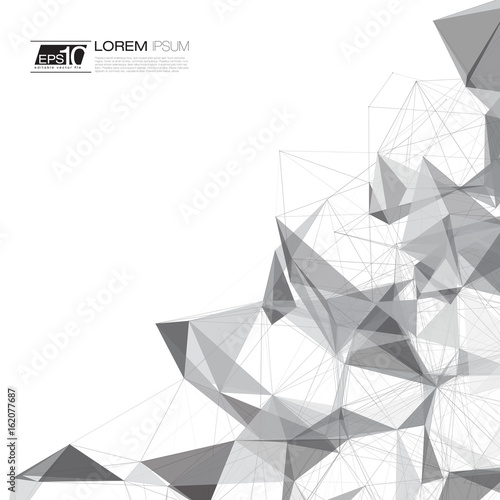 Black and White Abstract Network Mesh Vector Background with Text