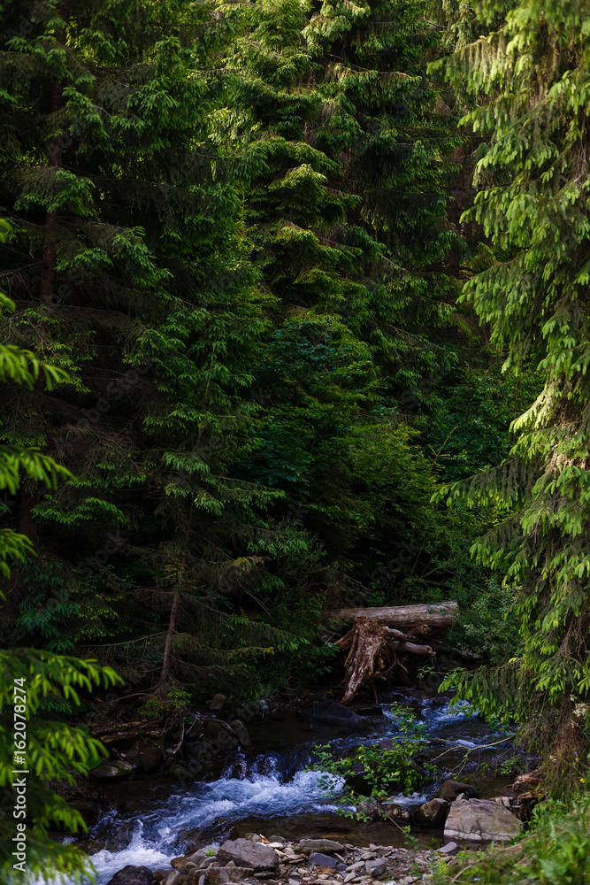 A small river in the mountains A small river in the mountains