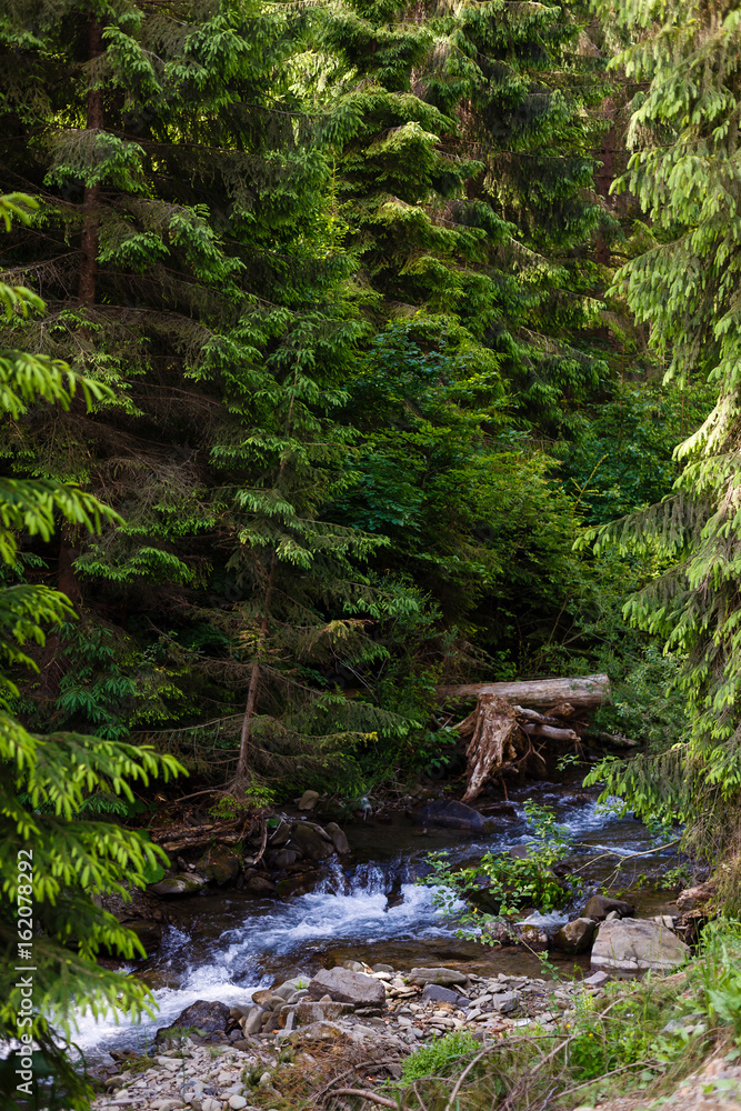 A small river in the mountains A small river in the mountains