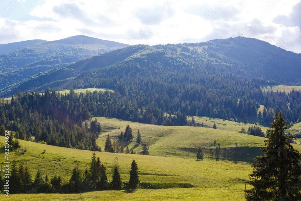 Naklejka premium Beautiful sunny day is in mountain landscape. Carpathian, Ukraine.