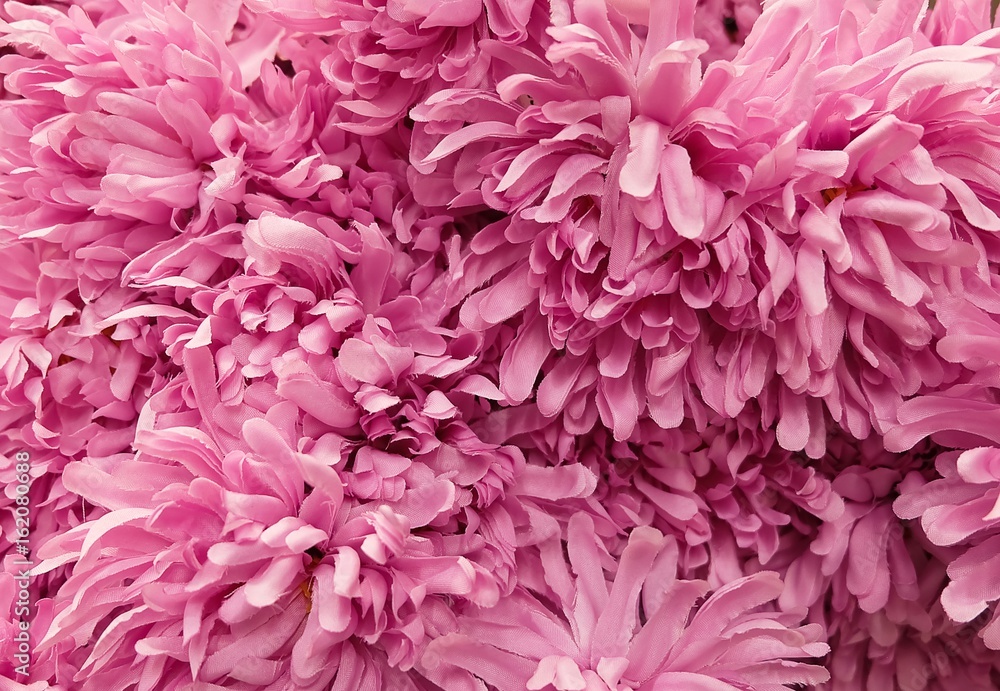 Background of Artificial Pink Chrysanthemum Flowers Background of Artificial Pink Chrysanthemum Flowers