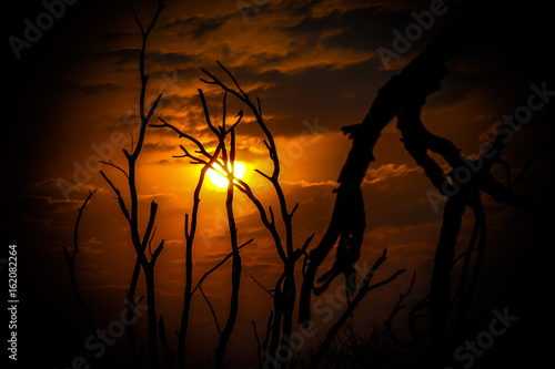 African Sunset South Africa