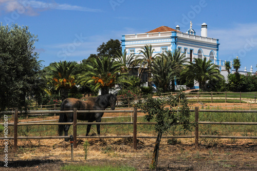 Alentejo Portugal Living