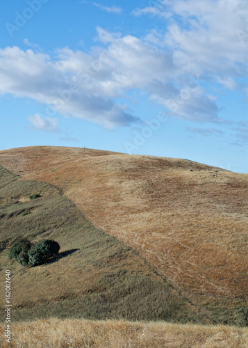 Panoramic view of the Lagoon Valley Park in Vacaville, California, USA, featuring the chaparral in the summer with and grass in three colors, brown, green and golden, and a patch of oak trees photo