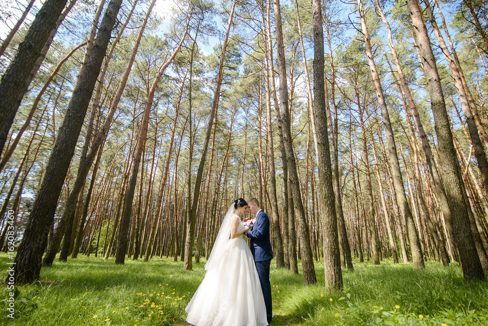 Bride and groom kissing and holding hands in the forest on nature. Wide angle outdoor photo. Bride and groom kissing and holding hands in the forest on nature. Wide angle outdoor photo.