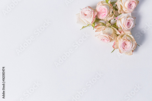 beautiful delicate flowers spray roses on a white background in the corner with place for label, close-up, top view © liliyabatyrova