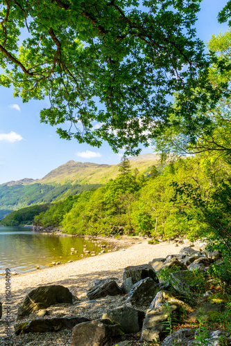 Loch Lomond at rowardennan, Summer in Scotland, UK