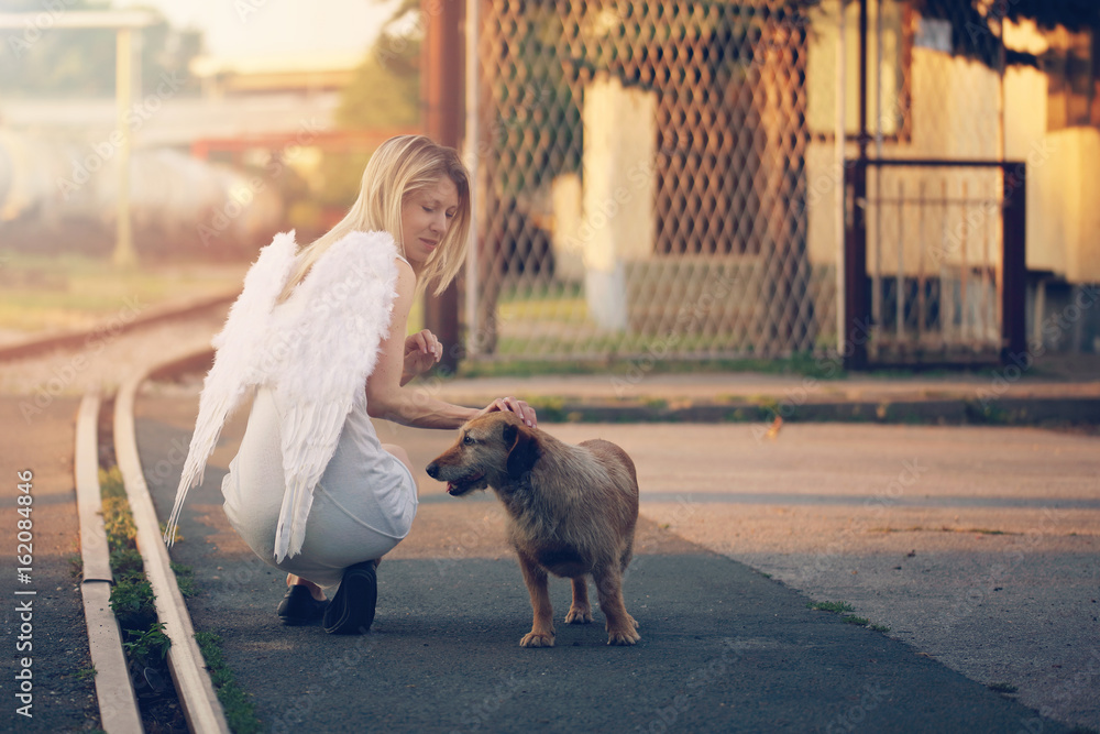 Young beautiful woman with angel wings taking care about homeless dog, kindness concept