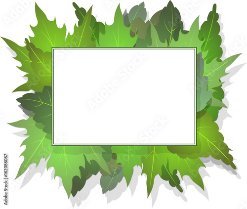 Rectangular frame for your design on a background of green leaves with shadow.