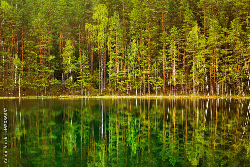 Lake in the Forest Lake in the Forest