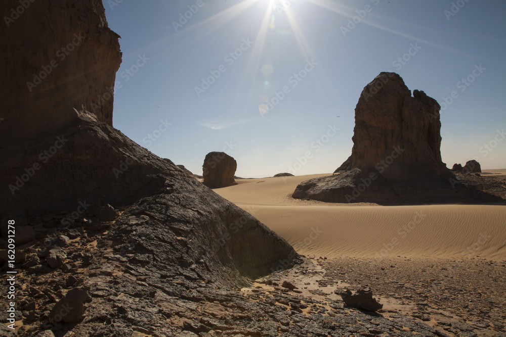 algerian desert