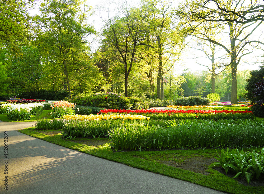 Beautiful spring landscape with green lawn and flowers