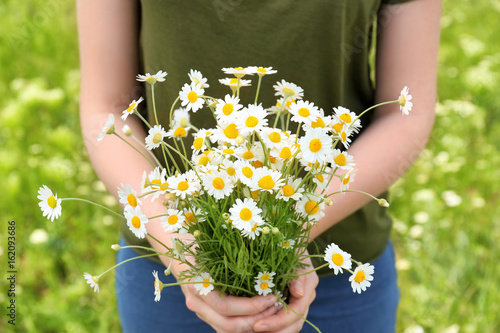 Fototapeta Naklejka Na Ścianę i Meble -  Young woman with bouquet of beautiful chamomile flowers in spring field, closeup