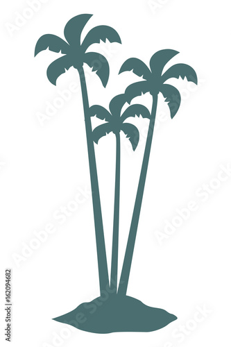 Palm tree illustration