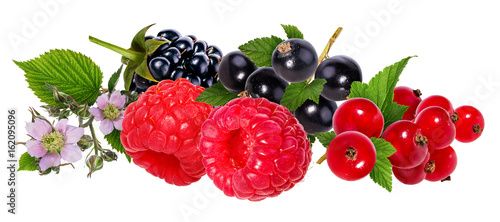  Berries collection. Raspberry, currant, blackberry isolated
