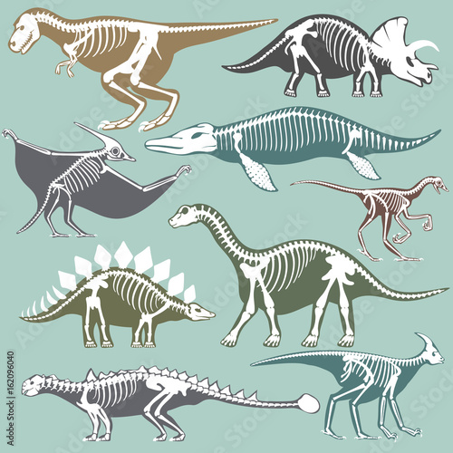 Dinosaurs skeletons silhouettes set fossil bone tyrannosaurus prehistoric animal dino bone vector flat illustration.