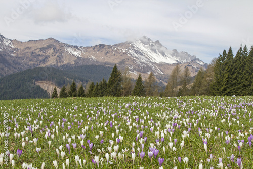Frühling in den Karnischen Alpen