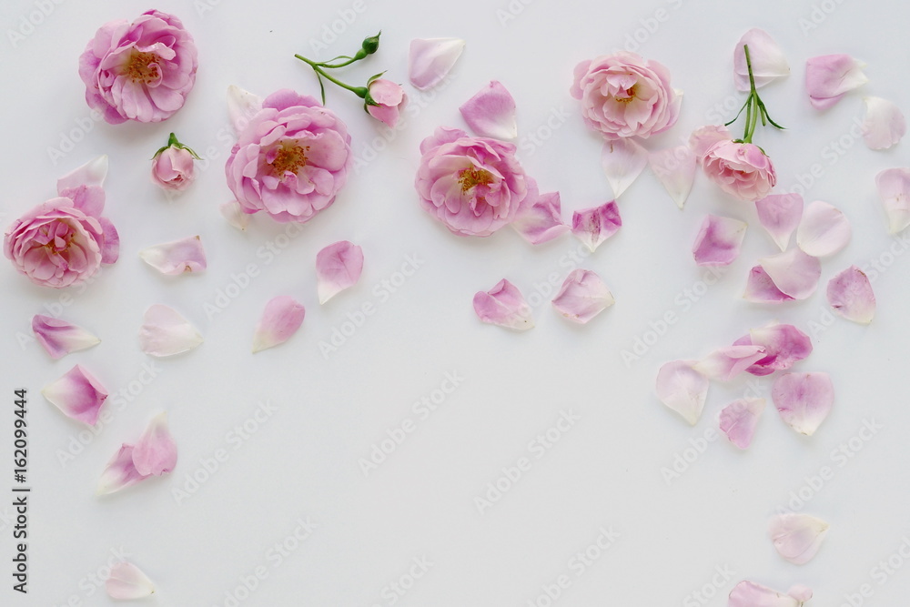 Frame from pink roses and petals on white background. top view. copy space