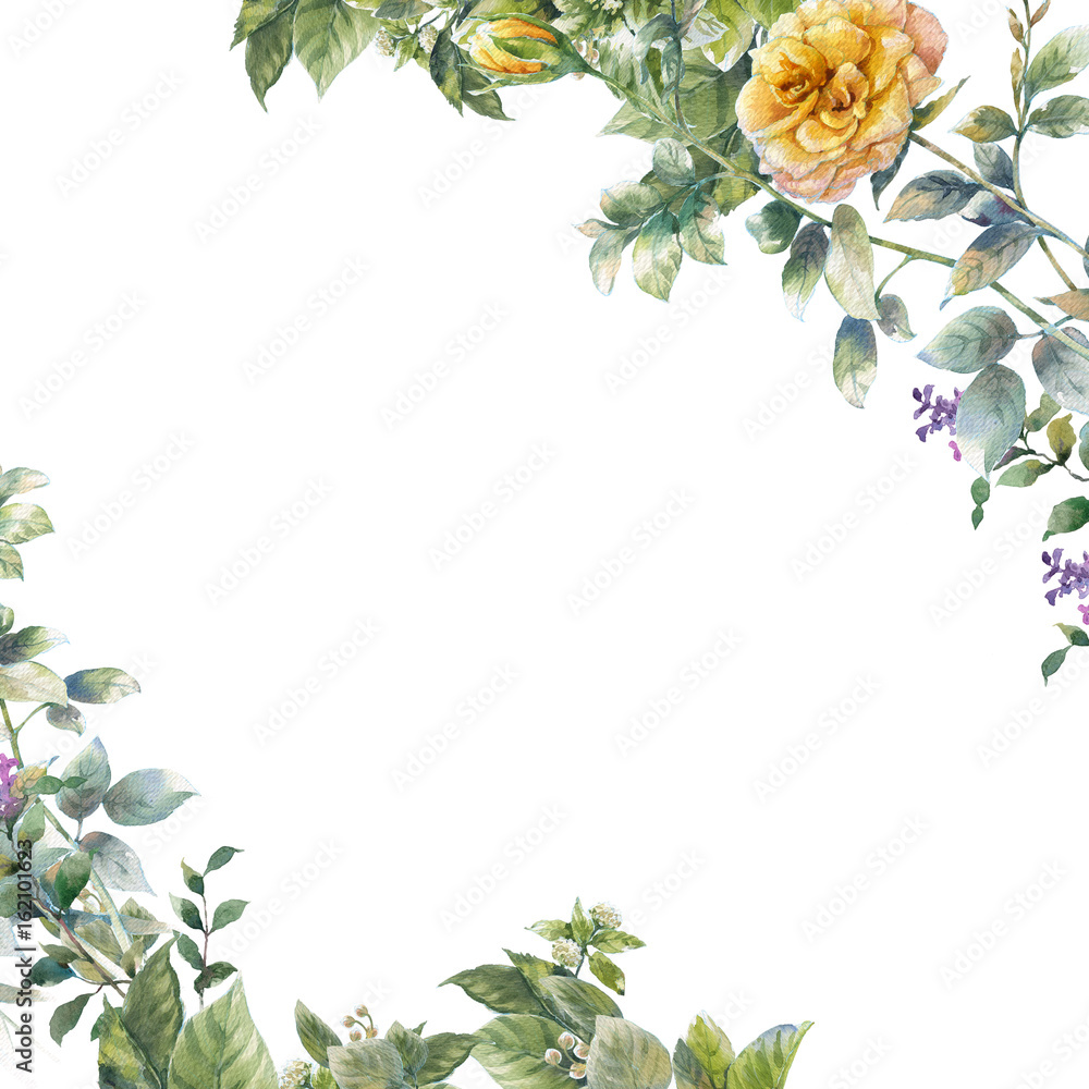 watercolor painting of leaves and flower, on white background watercolor painting of leaves and flower, on white background