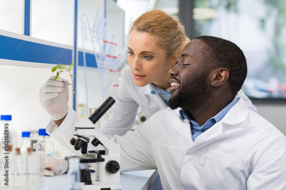 Scientists Looking At Sample Of Plant Working In Genetics Laboratory, Mix Race Couple Of Researchers Analyzing Result Of Experiment In Lab Scientists Looking At Sample Of Plant Working In Genetics Laboratory, Mix Race Couple Of Researchers Analyzing Result Of Experiment In Lab